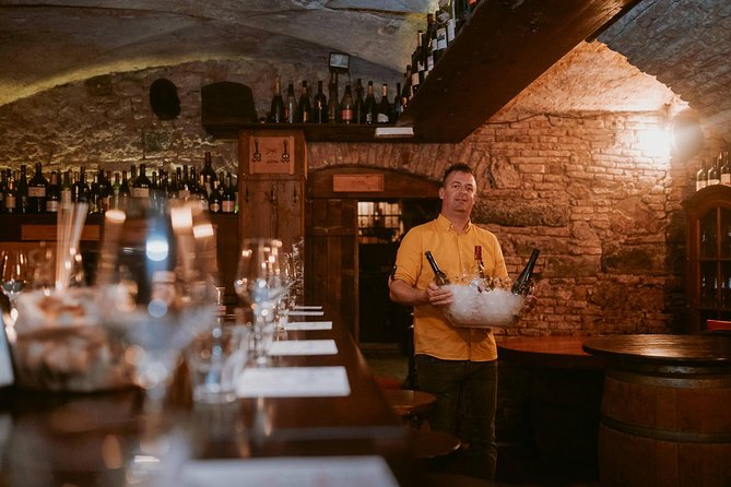 2-Hour Interactive Wine Tasting Experience in Ljubljana - Practical expectations: timing, group size, and comfort