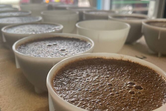 2-Hour Specialty Coffee tasting in Ljubljana - Quick highlights to know before you go
