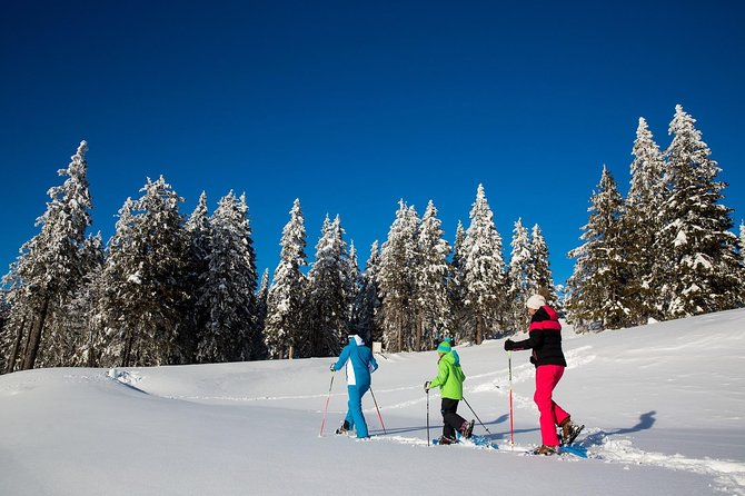 3-Hour Guided Snowshoeing Adventure in the Slovenian Alps - Key Things I’d Book This For