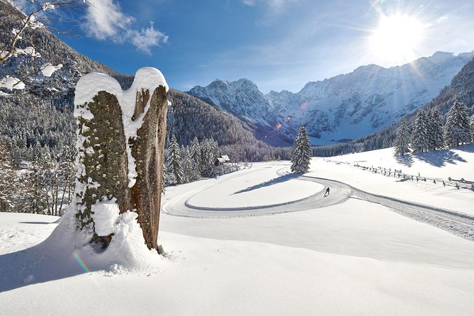 3-Hour Guided Snowshoeing Adventure in the Slovenian Alps - Guided by Rok: Stories, Tracks, and Trail Smarts