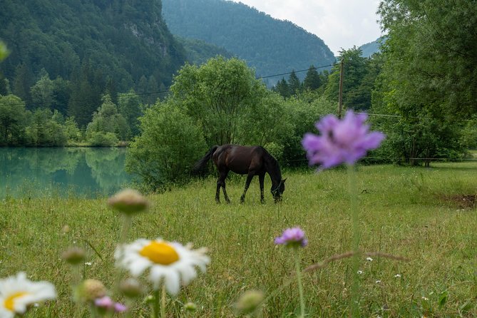 7 Alpine Wonders- Day Tour Bled, Soca valley, Slovenia - Why this day trip from Bled is such a smart use of your time