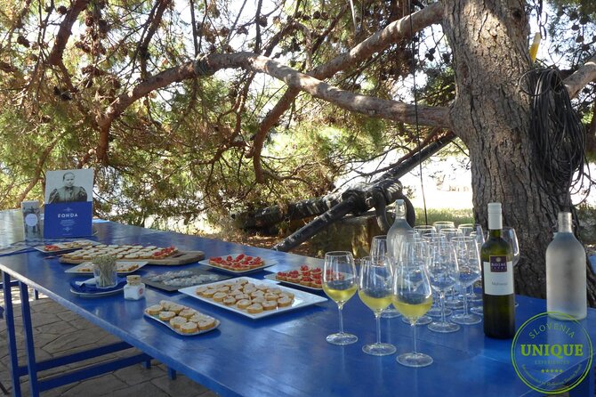 An Unforgettable Day With Fish, Wine and Olive Oil Tasting - Fish, wine, and olive oil tasting, plus the snack moment