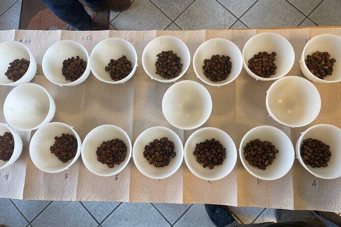 Barista Skills Foundation Course in Ljubljana - Equipment Basics and Maintenance Mindset That Saves You Later
