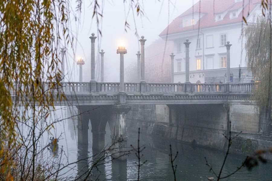 Best of Ljubljana: Private tour with Ljubljana born guide - Private Group Value: Up to 7 People, Real Flexibility