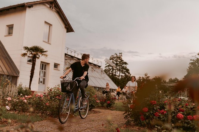 Bike Tour Ljubljana - Bikes and Comfort: What You Can Rely On, What to Double-Check