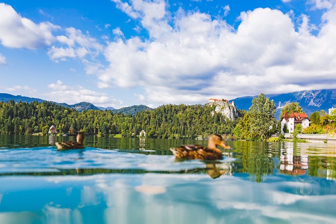 Bled & Bohinj lakes with Skofja Loka | Private trip from Ljubljana - Photo opportunities and the Triglav National Park connection