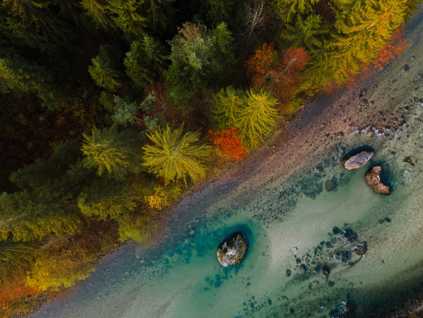 Bled: Sava River Kayaking Tour - Photos and the end of the paddle: returning to Bled
