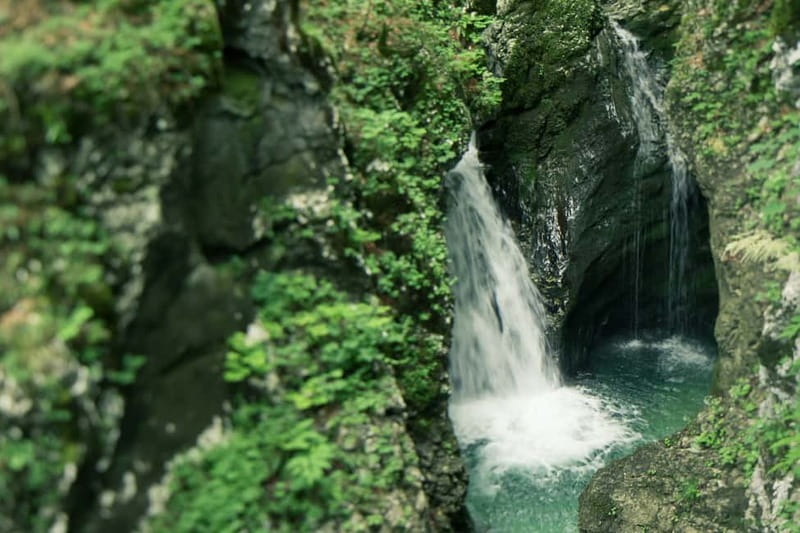 Bled: Triglav National Park Canyoning Adventure with Photos - Guide skills that turn nerves into control