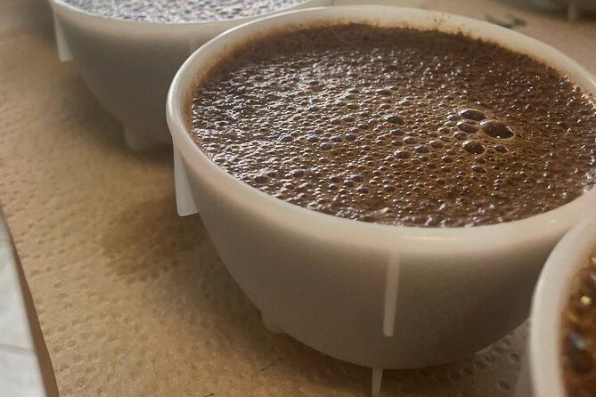 Coffee Sensory Training in Ljubljana - Coffee sensory training in Ljubljana: what the day is really about