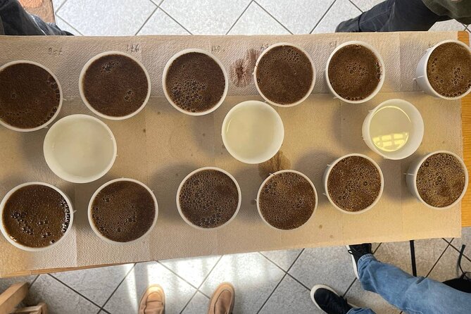 Coffee Sensory Training in Ljubljana - Calibrating your palate: basic tastes you can learn to recognize