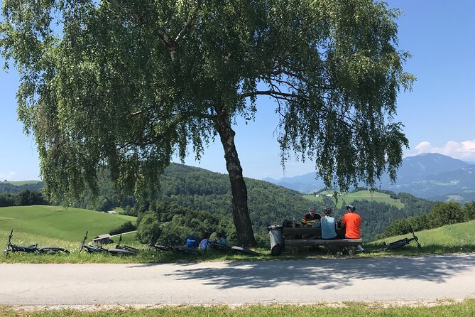 E-bike holidays: Trans Slovenia e-bike tour - Velika planina and the Kamnik area: shepherd huts and alpine views