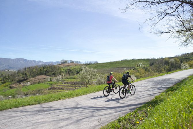 E-bike Vipava River Tour - Stop 2: Gustl, Štruklji, and eating like you actually live here