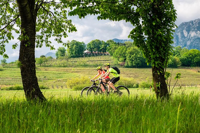 E-bike Vipava River Tour - Stop 1: Darovi Vipavske and coffee in Vipavski Križ
