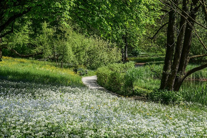 Exploring Ljubljana by Bicycle - Riding experience: easy pace, helmets, and safe city cycling