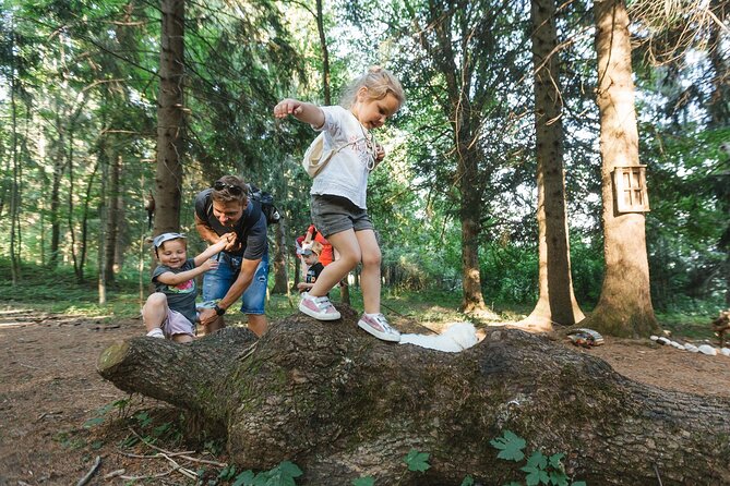 Family Adventure in Bled - Enchanted Forest theme park - Dwarfs’ playground: balance and agility without feeling like a workout
