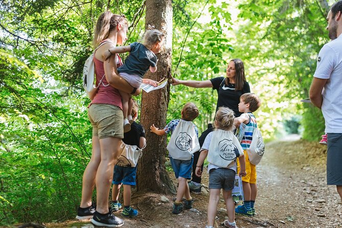 Family Adventure in Bled - Enchanted Forest theme park - Gnome classroom and the Birds nest creativity space
