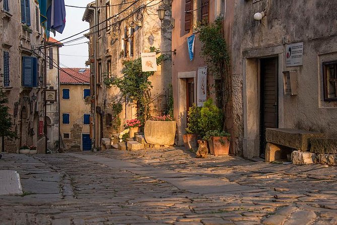 Flavours of Istria Tasting Experience from Koper - Grožnjan: The Artists Village and the Soil Behind the Food