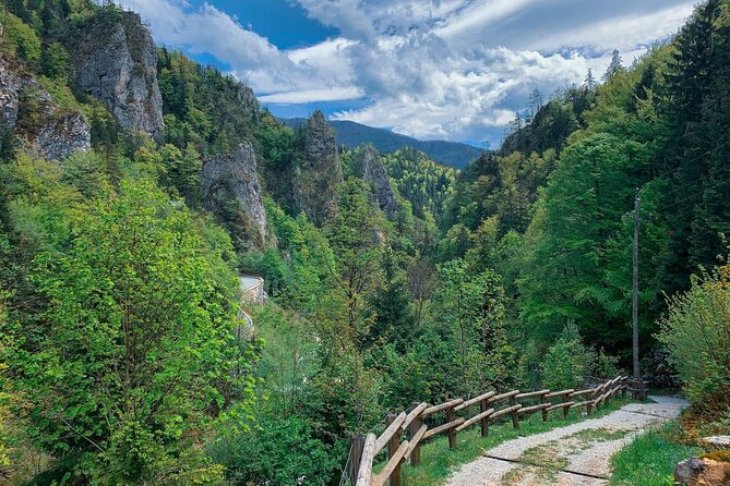 From Bled: Crystal River Hike - What Makes the River Experience Special