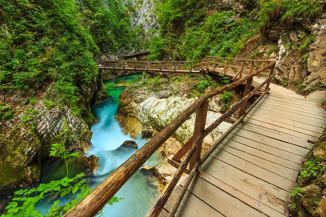 From Bled: Self-Guided E-Bike Tour to Vintgar Gorge - E-bike to Vintgar Gorge: the practical way to see Triglav’s area
