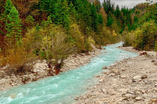 From Bled: Triglav National Park Tour - Zelenci Nature Reserve and Lake Jasna: two short breaks that feel big