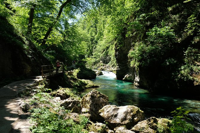 From Bled: Triglav National Park Tour - Lake Bohinj: waterfall views and the bigger picture from above
