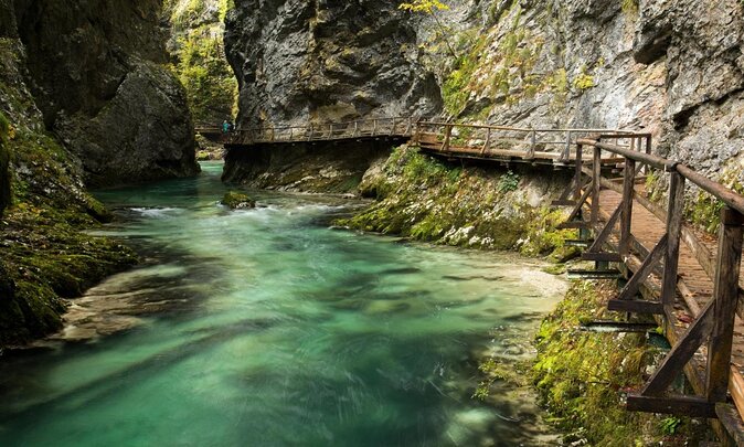From Bled: Triglav National Park Tour - Vintgar Gorge: bridges, galleries, and a managed one-hour visit
