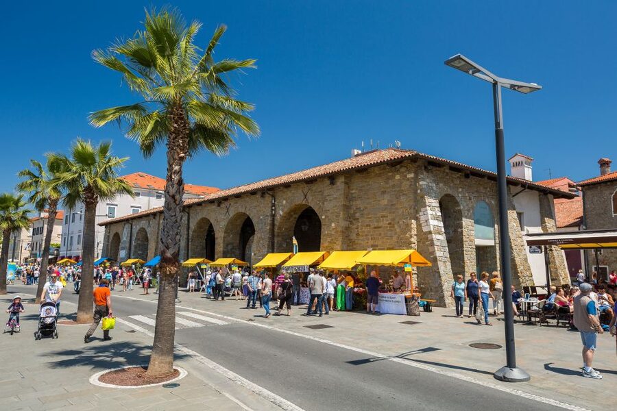 From Koper: Piran and Panoramic Slovenian Coast Tour - Getting Oriented: Koper pickup and a 5-hour coast loop