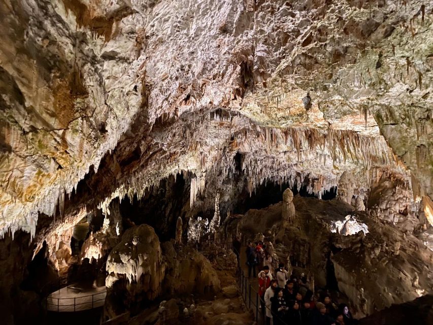 From Ljubljana: Postojna Cave Day Trip - Postojna Cave from Ljubljana, what you’re really signing up for