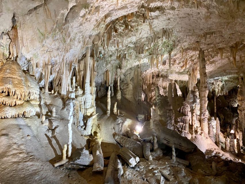 From Ljubljana: Postojna Cave Day Trip - Your English guide: facts you can repeat later