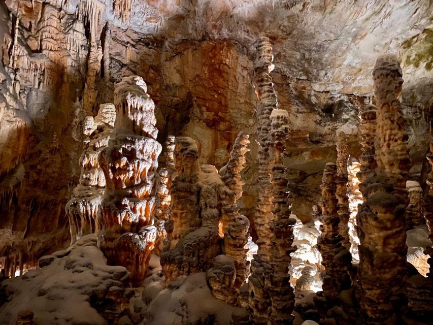 From Ljubljana: Postojna Cave Day Trip - Private driver experiences, and one real-world caution
