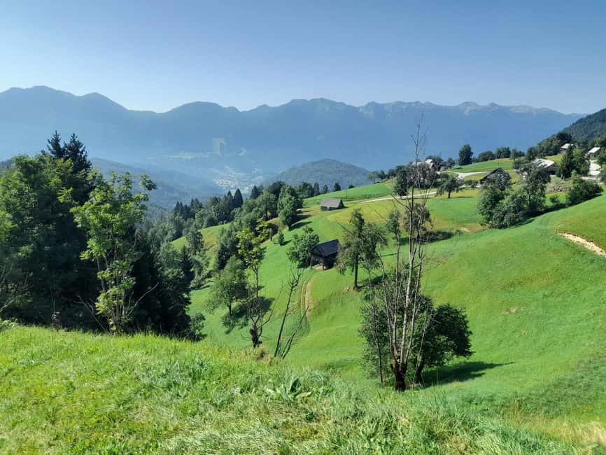 From Ljubljana: Triglav National Park Tour (Private) - Pokljuka Plateau: the long scenic stretch that ties it together