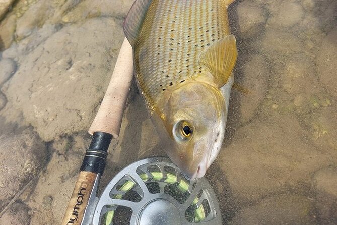 Full Day Private Guided Fishing Charter along the Isonzo Front - Why Bovec feels different: the Soča River plus Isonzo Front history