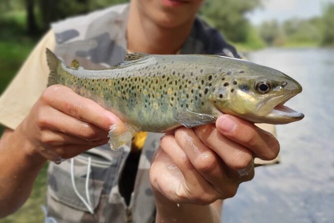 Full Day Private Guided Fishing Charter along the Isonzo Front - What’s included, what’s not, and the real value of $324.43