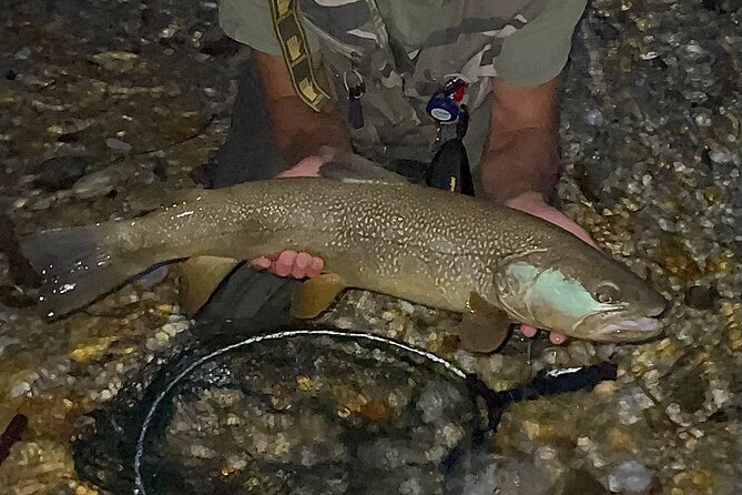 Full Day Private Guided Fishing Charter along the Isonzo Front - Fish types you might see, and how the guide improves your odds