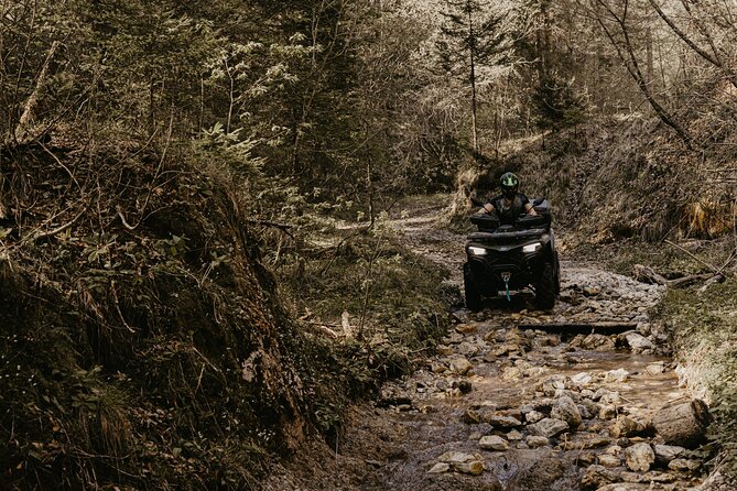 Full-Day Quad Rental in Bled - The Ride Itself: Forest Hours, Mountain Tracks, and Real Challenge