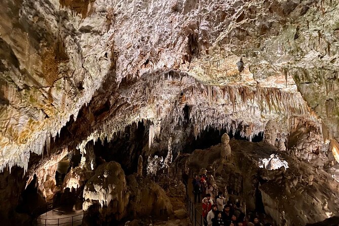 Full-day tour of Postojna Cave and Bled Lake From Ljubljana - Price and value: what you pay, what you still need to add