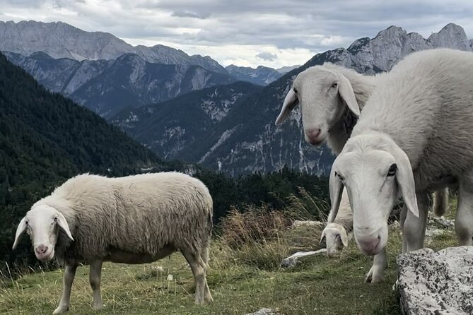 Full-Day Triglav National Park Tour from Ljubljana - Soča Valley: emerald river time and the optional Top Extreme rafting