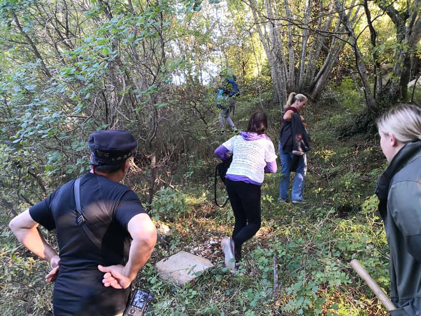 Gažon - Istria: Truffles Hunting & Cooking & Tasting - Truffle Hunting With a Professional Hunter and His Dog