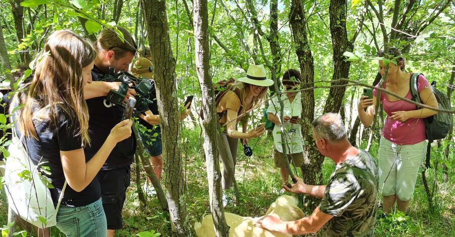 Gažon - Istria: Truffles Hunting & Cooking & Tasting - Your 3-Hour Rhythm, From Meeting Point to Pergola Table