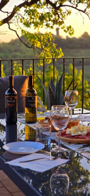 Goriška Brda: Wine Walk and Tasting - What You Really Learn Here, Beyond the Wine List