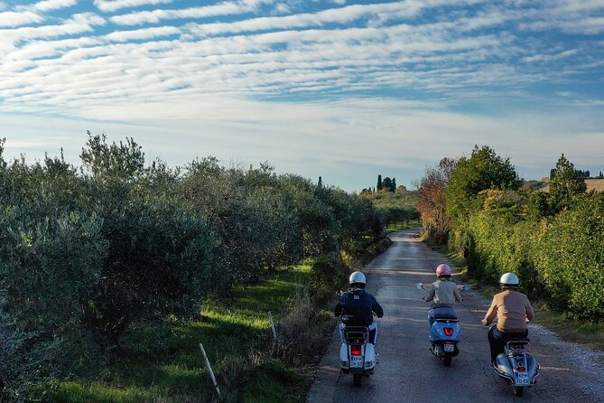 Half Day Vespa Countryside Tour and Tastings in Istria - Stop 2: Secovlje Salina Nature Park and the salt flats panorama