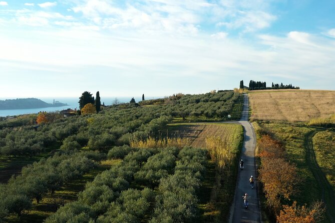 Half Day Vespa Countryside Tour and Tastings in Istria - Stop 5: Izola coastline cliffs from the bay