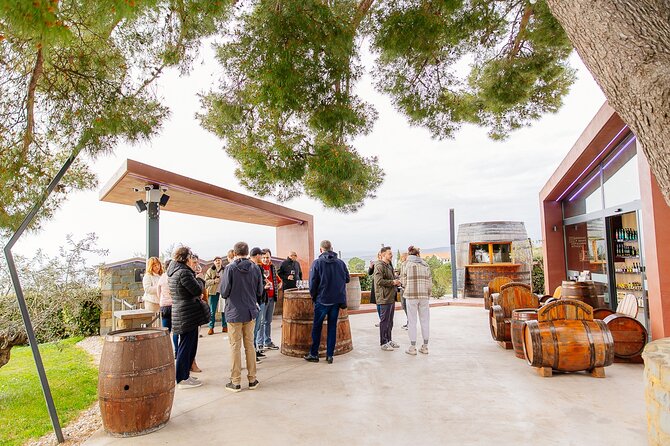 Hop & Taste Slovenian Riviera Hop-On Hop-Off & Local Bites - Who This Tour Suits Best (and Who It Might Not)