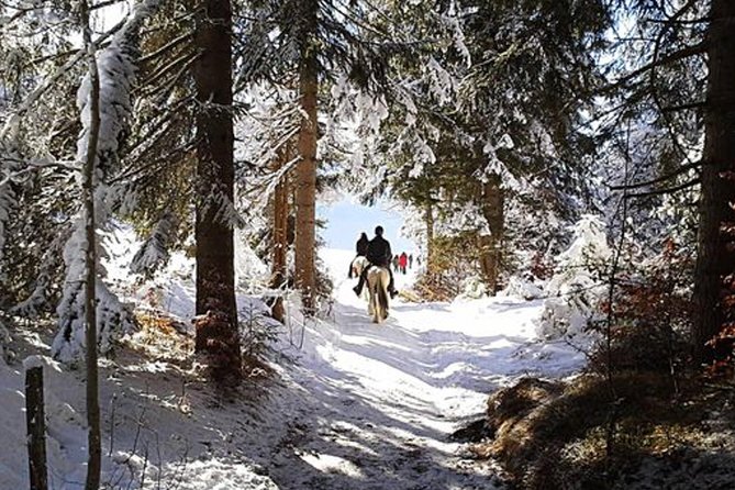 Horse Riding in Bled - Key things I’d plan for