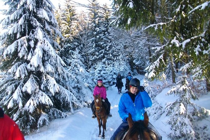 Horse Riding in Bled - First Steps at Mamut Slovenia by the Main Bus Station