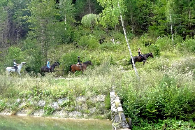 Horse Riding in Bled - Lake Bled Scenery, With a Guide That Keeps You Grounded