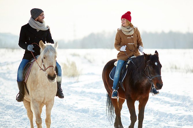 Horse Riding in Bled - Gear Up and Safety Basics at the Farm