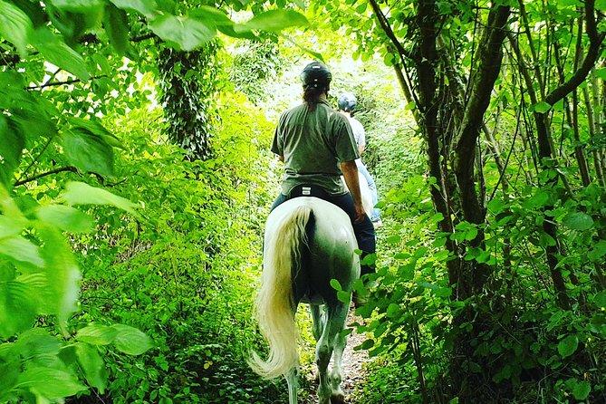 Horseback Riding In Bled - Horses and Guides: Friendly, Beginner-Safe, With a Watch-Out
