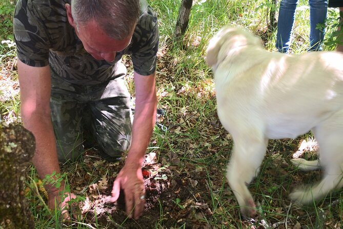 Istria - Truffles: Hunting & Cooking & Tasting, Slovenia - Food and drink details you should know before you go