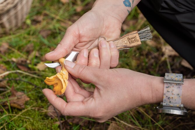 It Smells Like Mushrooms - Back at the base: cleaning, preparation, and storage 101